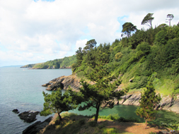 Headland views